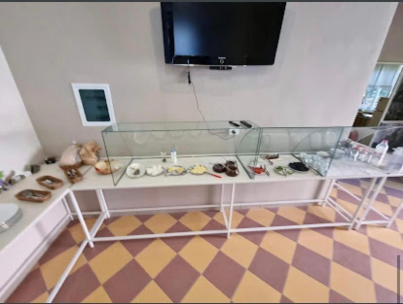 Hotel Vila Nino Berat Dış mekan fotoğraf